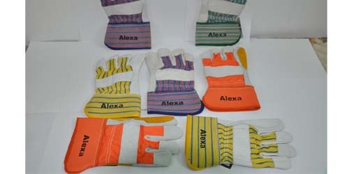 Alexa Gloves kit